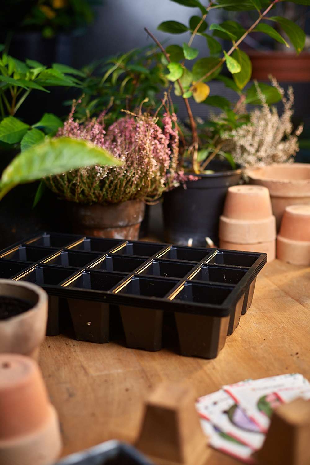 Sålåda med 15 celler, 5 st.